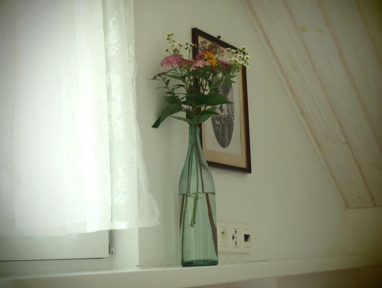 Alpakarium, Hodowla Alpak & Pensjonat Stara Kornica Buitenkant foto