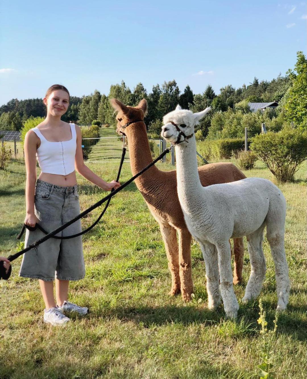 Alpakarium, Hodowla Alpak & Pensjonat Stara Kornica Buitenkant foto
